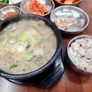 고씨네순대