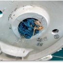 안산초입 화장실 이미지