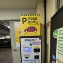 용천통닭부산 | 의정부 제일시장 명절때 처음 가봤다 인파에 놀람