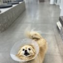 우긋 이미지