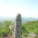 영광 성산리 지석묘군 | 2007.5.13. 영산6구간(덤바위재 ~ 살우치)