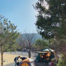 덕이네 펜션&캠핑 네이버블로그