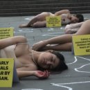 김진만농장 이미지