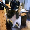 주암민물가든 이미지