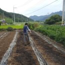 들녘농장 이미지