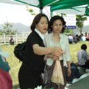 용담초등학교 이미지