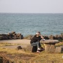 청춘맛차