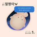 미주치과병원 | [강북삼성병원 산부인과] 39주 역아 제왕절개, 이교원 교수님 출산 후기