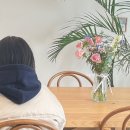 고울연;차 이미지