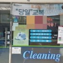 크린토피아덕소