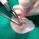 뉴케어동물병원 이미지