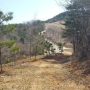 춘기농장 이미지