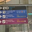 렛츠커피 (Let s Coffee) | 26ver 몰디브-2.방콕에서 말레까지 방콕에어라인 비지니스 후기. 어떻게든 간다..