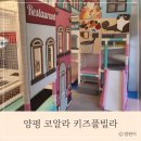 코알라키즈풀빌라펜션 이미지