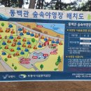 용두해수욕장숲속야영장 이미지