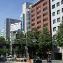 선라이트조명 | 도쿄 가성비 호텔 선라이트 신주쿠 트윈룸 후기