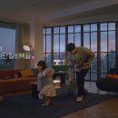 데이 이미지