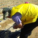 수봉농장 이미지