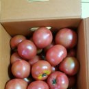 계선농장 이미지