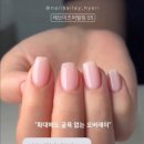 네일베일리 네이버블로그