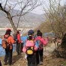 비봉농원 이미지