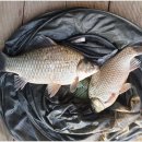 제일낚시터 이미지