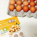 주식회사 에그엘 이미지