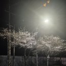 명동셀프세차장