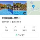 로카와 델피노2 이미지