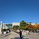 시(詩)의 깊이, 마음의 울림 | 사유하는 극장 Sa-yu, 양방언과 함께한 국립중앙박물관 극장 용 콘서트 후기