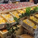 불꽃노래연습장 | 1월 첫번째 일상 기록 : 2026년 새해를 맞이하며🌅