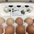 솔아농장 이미지