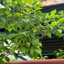 성심카전문정비 이미지