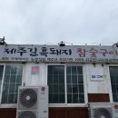 꽃보다돼지