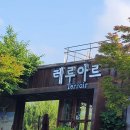 테루아르