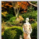 화가의정원 이미지