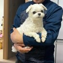 장평로8길 이미지