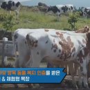 금종목장 이미지