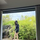 금능630하우스 이미지