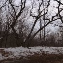 [광주 광산구]광주여대~동자봉(154m)~어등산 석봉(338m)~등용정~광주여대 다녀오기(2021/1/5/화 오후) 이미지