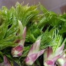 세국농장 이미지