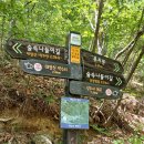 창원 삼정자동 마애여래좌상 이미지