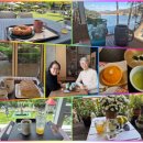 (주)성신통신 | 대한민국의 은퇴한70대 경영학 박사의 2025년 일상 분석