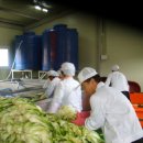 장성열농장 이미지