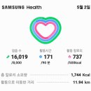 만보인증에걷기운동 16,019보12.17km회룡포마을팬션에서일오회:2/4분기모임 이미지