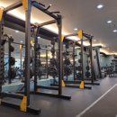 엠휘트니스 이미지