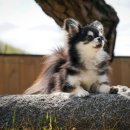 W&W(와앤와) 이미지