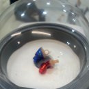 365보청기 이미지