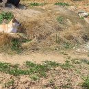 로터리길 이미지