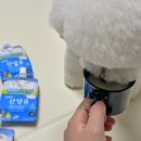 최정언산양목장 이미지